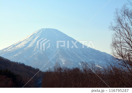 優美・壮大なる蝦夷富士「後志山・後方羊蹄山」 優美・壮大なる蝦夷富士「後志山・後方羊蹄山」 116795287