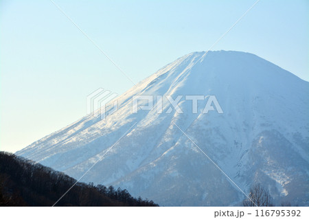 優美・壮大なる蝦夷富士「後志山・後方羊蹄山」 116795392