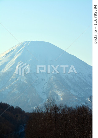 優美・壮大なる蝦夷富士「後志山・後方羊蹄山」 優美・壮大なる蝦夷富士「後志山・後方羊蹄山」 116795394
