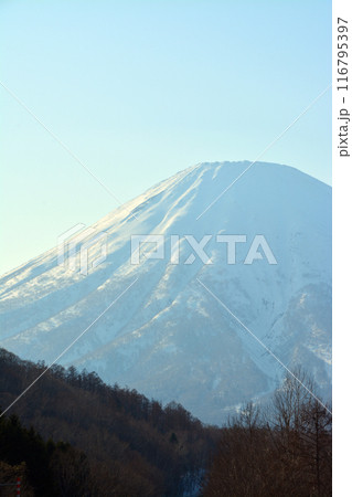 優美・壮大なる蝦夷富士「後志山・後方羊蹄山」 116795397