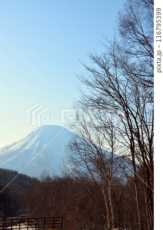 優美・壮大なる蝦夷富士「後志山・後方羊蹄山」 優美・壮大なる蝦夷富士「後志山・後方羊蹄山」 116795399