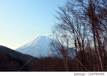 優美・壮大なる蝦夷富士「後志山・後方羊蹄山」 優美・壮大なる蝦夷富士「後志山・後方羊蹄山」 116795400