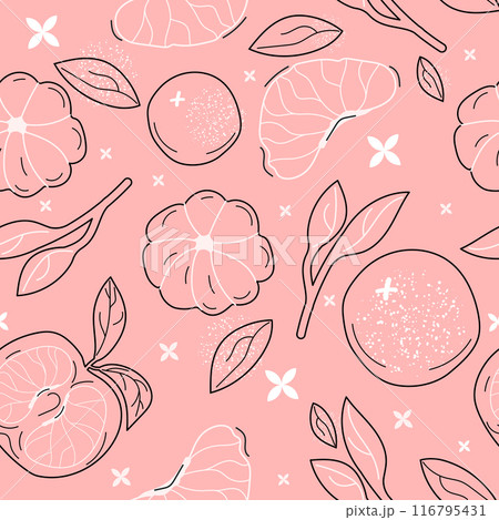 A fruit pattern with leaves in line art style 116795431