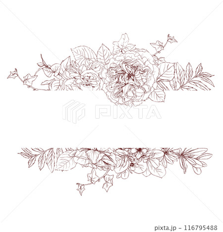 Hand drawn pencil graphics illustration of vintage flowers frame 116795488