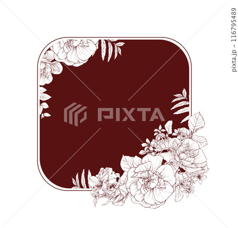Hand drawn pencil graphics illustration of vintage flowers frame 116795489
