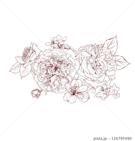 Hand drawn pencil graphics illustration bouquet of vintage flowers 116795490