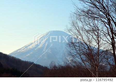 優美・壮大なる蝦夷富士「後志山・後方羊蹄山」 優美・壮大なる蝦夷富士「後志山・後方羊蹄山」 116795492