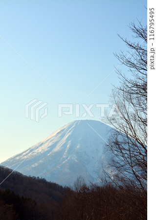 優美・壮大なる蝦夷富士「後志山・後方羊蹄山」 優美・壮大なる蝦夷富士「後志山・後方羊蹄山」 116795495