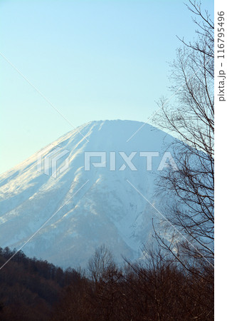 優美・壮大なる蝦夷富士「後志山・後方羊蹄山」 優美・壮大なる蝦夷富士「後志山・後方羊蹄山」 116795496