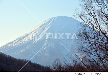 優美・壮大なる蝦夷富士「後志山・後方羊蹄山」 優美・壮大なる蝦夷富士「後志山・後方羊蹄山」 116795498