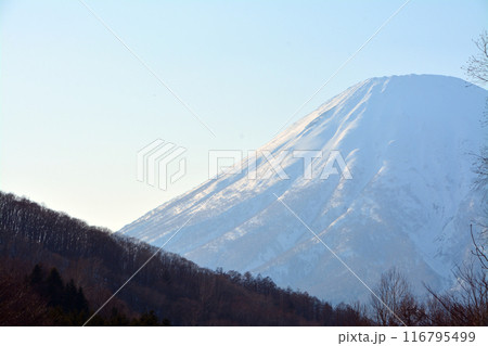 優美・壮大なる蝦夷富士「後志山・後方羊蹄山」 優美・壮大なる蝦夷富士「後志山・後方羊蹄山」 116795499