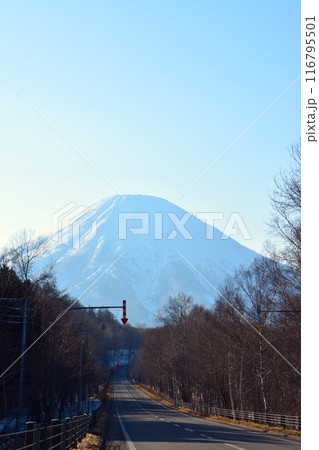 優美・壮大なる蝦夷富士「後志山・後方羊蹄山」 116795501