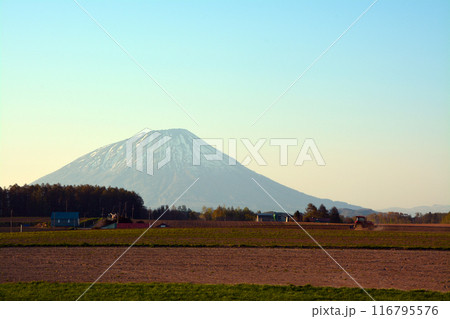 優美・壮大なる蝦夷富士「後志山・後方羊蹄山」 優美・壮大なる蝦夷富士「後志山・後方羊蹄山」 116795576