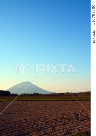 優美・壮大なる蝦夷富士「後志山・後方羊蹄山」 116795580