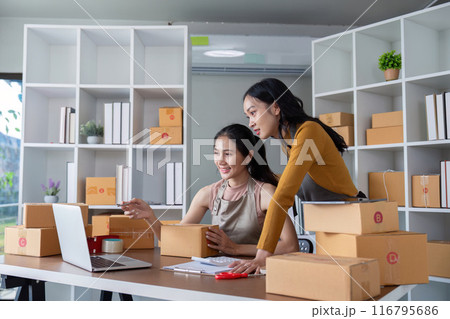 Two Young Women Running Online Business from Home Office with Cardboard Boxes and Laptop 116795686
