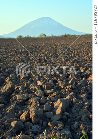 優美・壮大なる蝦夷富士「後志山・後方羊蹄山」 優美・壮大なる蝦夷富士「後志山・後方羊蹄山」 116795727