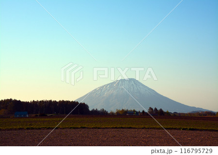 優美・壮大なる蝦夷富士「後志山・後方羊蹄山」 116795729