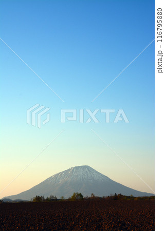 優美・壮大なる蝦夷富士「後志山・後方羊蹄山」 116795880