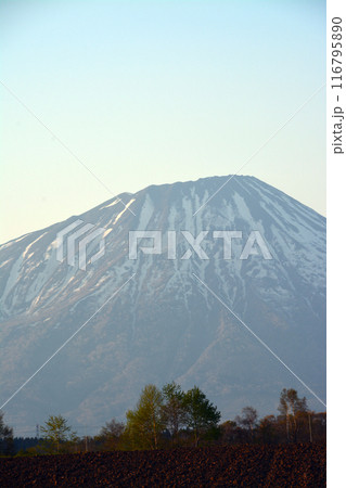 優美・壮大なる蝦夷富士「後志山・後方羊蹄山」 優美・壮大なる蝦夷富士「後志山・後方羊蹄山」 116795890