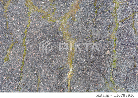 Stone surface. Stone surface. 116795916