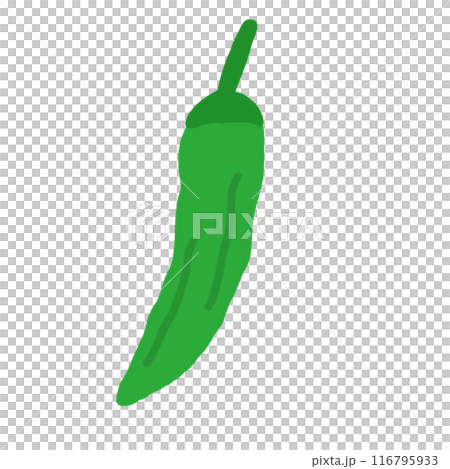 Lion pepper illustration Lion pepper illustration 116795933