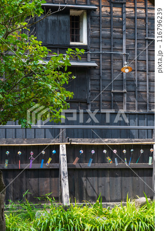 夏の半六庭園、風鈴かざり〈愛知県半田市〉 116796239