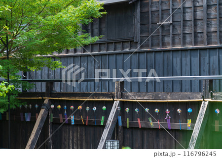 夏の半六庭園、風鈴かざり〈愛知県半田市〉 116796245