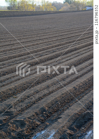 優美・壮大なる蝦夷富士「後志山・後方羊蹄山」山麓の肥沃な大地 優美・壮大なる蝦夷富士「後志山・後方羊蹄山」山麓の肥沃な大地 116796352