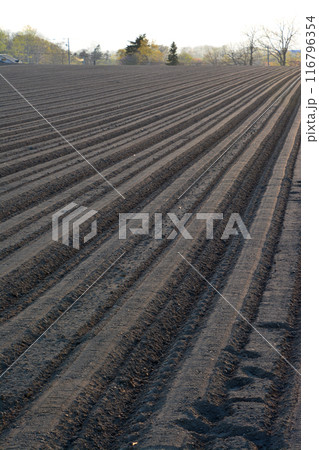 優美・壮大なる蝦夷富士「後志山・後方羊蹄山」山麓の肥沃な大地 116796354