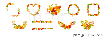 Bright Autumn Foliage and Leaf Decorative Border Vector Set 116797297