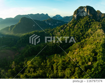Aerial view Tropical Rainforest trees mountains Aerial view Tropical Rainforest trees mountains 116797374