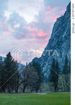 Yosemite View in California 116797384