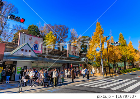 東京　渋谷区　原宿駅周辺の紅葉 116797537