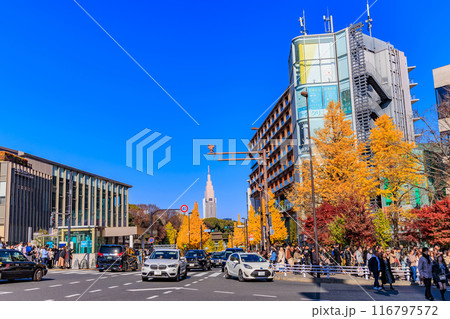 東京　渋谷区　原宿駅周辺の紅葉 116797572