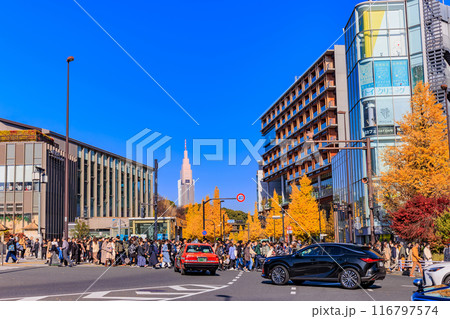 東京　渋谷区　原宿駅周辺の紅葉 116797574