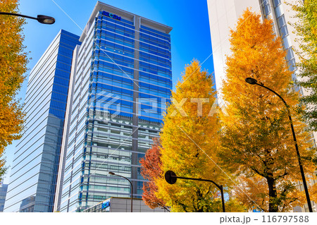 東京　渋谷区　原宿周辺の紅葉 116797588
