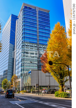 東京　渋谷区　原宿周辺の紅葉 116797590