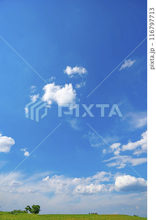 夏の青空と草原 夏の青空と草原 116797713