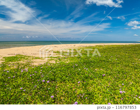 Aerial view of landscape view sea in summer background Aerial view of landscape view sea in summer background 116797853