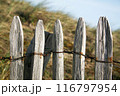 an old wooden gate with barbed wire 116797954