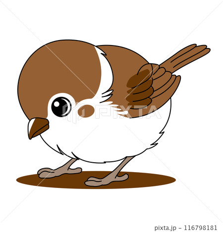 餌を探す可愛いスズメのベクターイラスト 116798181