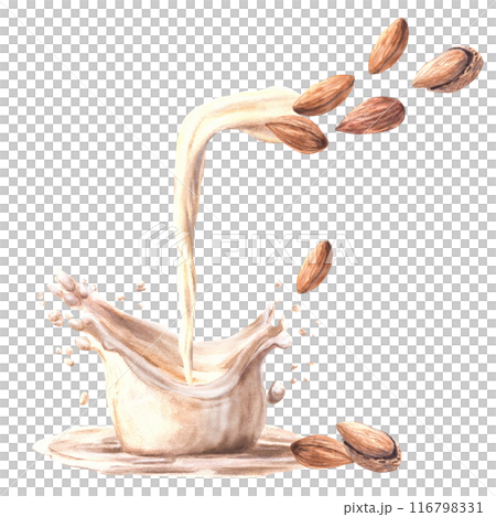 Flowing almond nut milk with milky splashes. Watercolor peeled and in shell nuts for yogurt, cream dairy. Plant based drink label. Vegetarian hand drawn healthy food composition on isolated background 116798331