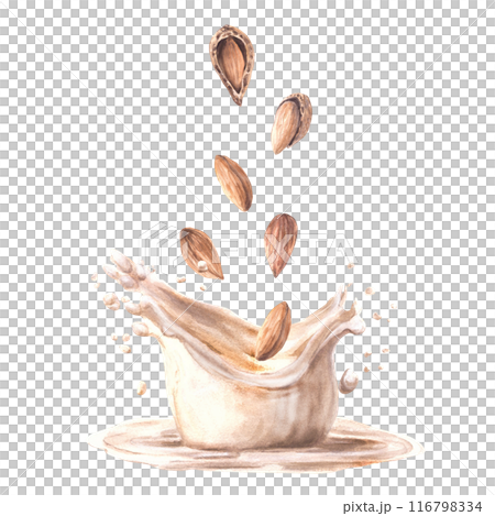 Almond milk drink with milky splash Watercolor peeled and in shell nuts into yogurt, cream. Plant based drink dairy label design. Vegetarian hand drawn healthy food composition on isolated background 116798334