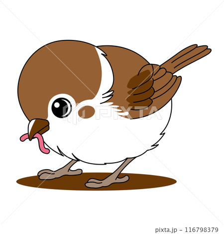 ミミズをついばむ可愛いスズメのベクターイラスト 116798379