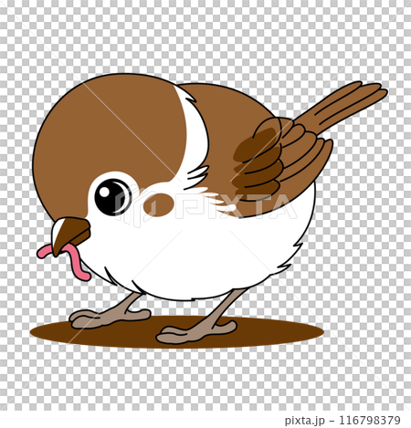 ミミズをついばむ可愛いスズメのベクターイラスト 116798379