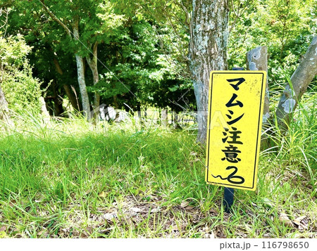 田舎ではマムシに注意して 田舎ではマムシに注意して 116798650