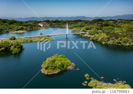 初夏のさくら湖 初夏のさくら湖 116798661