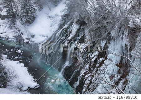 美瑛 冬の白ひげの滝 美瑛 冬の白ひげの滝 116798810
