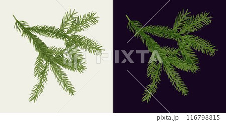 Spruce tree lush branch on white, dark background. Fir twig with green needles. Image trace, cleaned and simplified illustration. Realistic style. Not AI. Spruce tree lush branch on white, dark background. Fir twig with green needles. Image trace, cleaned and simplified illustration. Realistic style. Not AI. 116798815