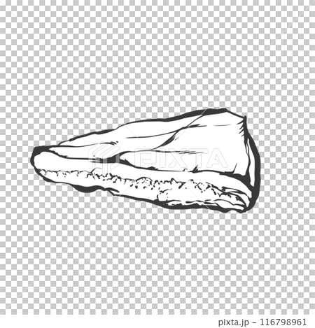 Tontoro 大塊肉手寫畫筆繪畫風格插畫 116798961